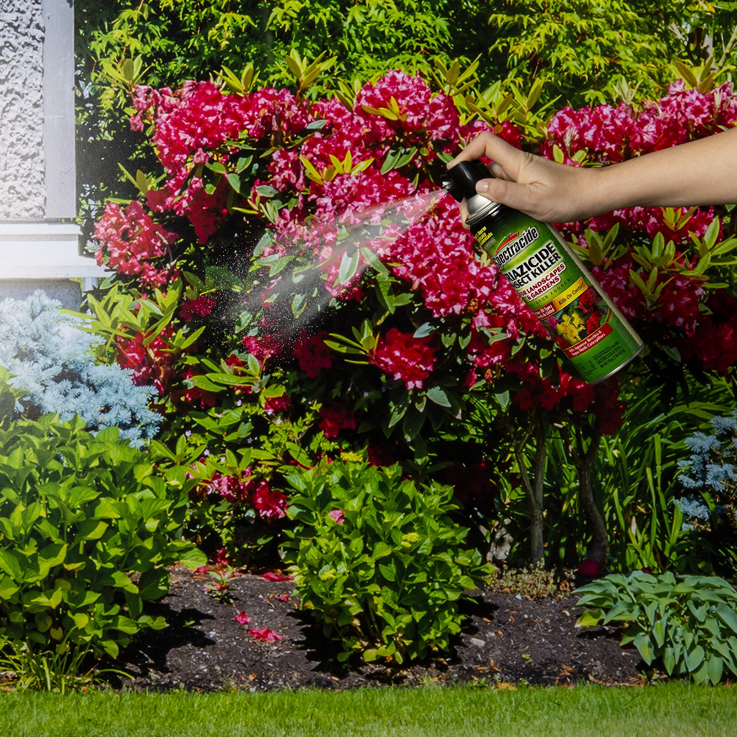 Amazon.com : Spectracide Triazicide Insect Killer For Landscapes